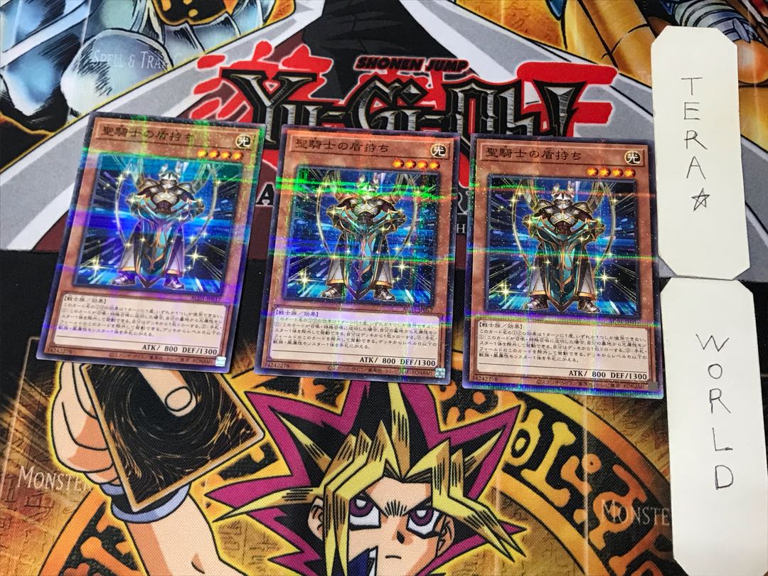 Noble Knight's Shield-Bearer 1 Normal Parallel Set of 3 Tera.