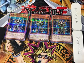 Noble Knight's Shield-Bearer 1 Normal Parallel Set of 3 Tera.