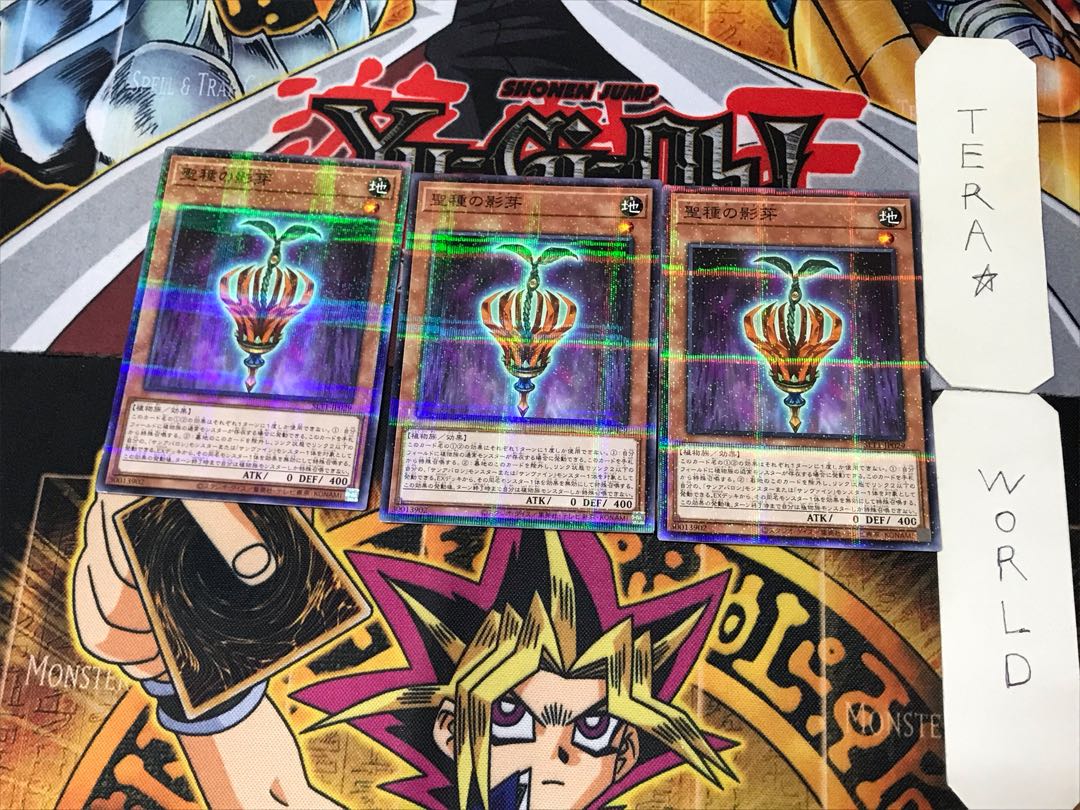 聖種の影芽 5 ノーマルパラレル 3枚セット てら