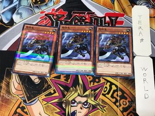 Mezuki 5 Normal Parallel Set of 3 Tera