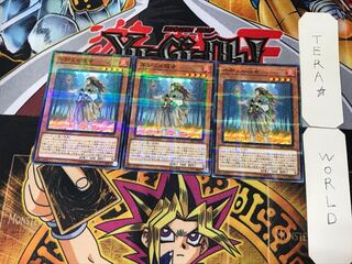 Shiranui Solitaire 3 Normal Parallel Set of 3 Tera