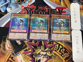 Shiranui Solitaire 5 Normal Parallel Set of 3 Tera