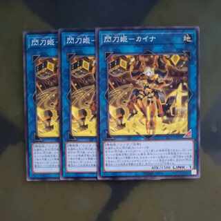 Senkohime-Kaina Normal JP041×3 [Mokurindo] (Japanese only)