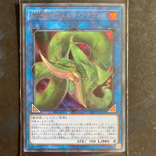 捕食植物ヴェルテ・アナコンダ