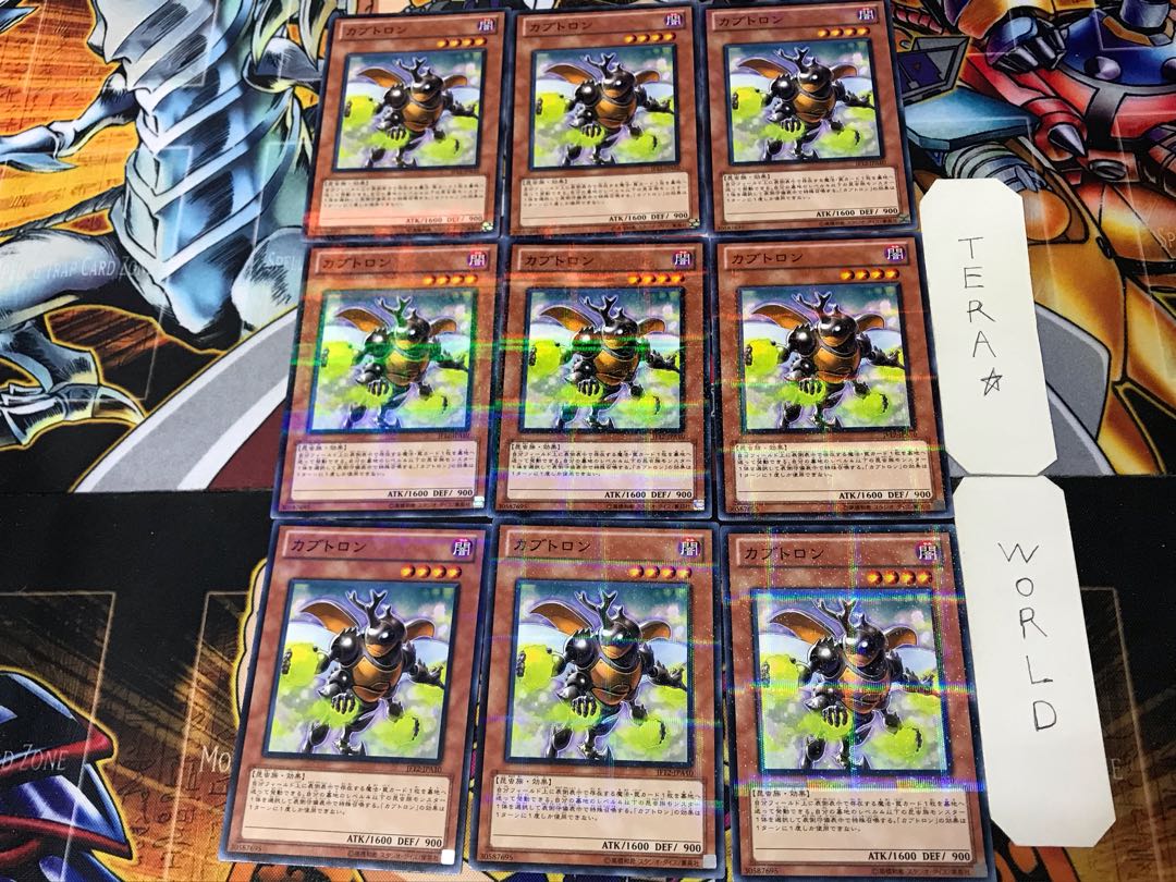 Beetron 2, set of 9 normal parallels, Tera.