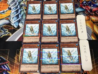 Treeborn Frog 3 Normal Parallel 9-card set Tera