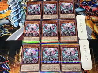 Chaos Dragon Levianeer 2 Normal Parallel 9-card set Tera