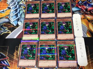 Magician of Faith 3, set of 9 normal parallels, Tera.