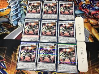 超重剣聖ムサ-C 2 ノーマルパラレル 9枚セット てら