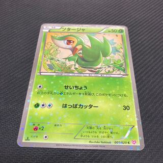 Snivy (Kira) C 001/020