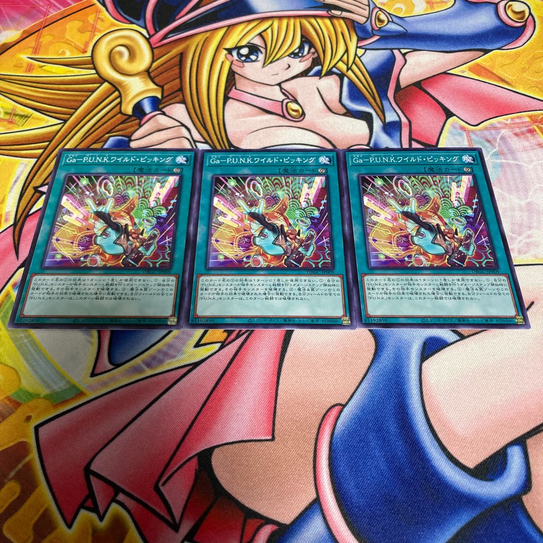 Ga-PUNK ワイルドピッキング