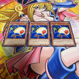 エレキーウィ ノーマル JP026