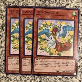 Slower Swallow Normal JP029