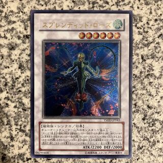 Splendid Rose Ultimate Rare JP043