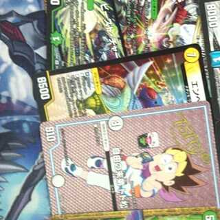 ドンサボテ様専用