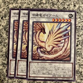 甲纏竜ガイアーム ノーマル JP042