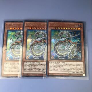 アークネメシスプロートス　シク3枚