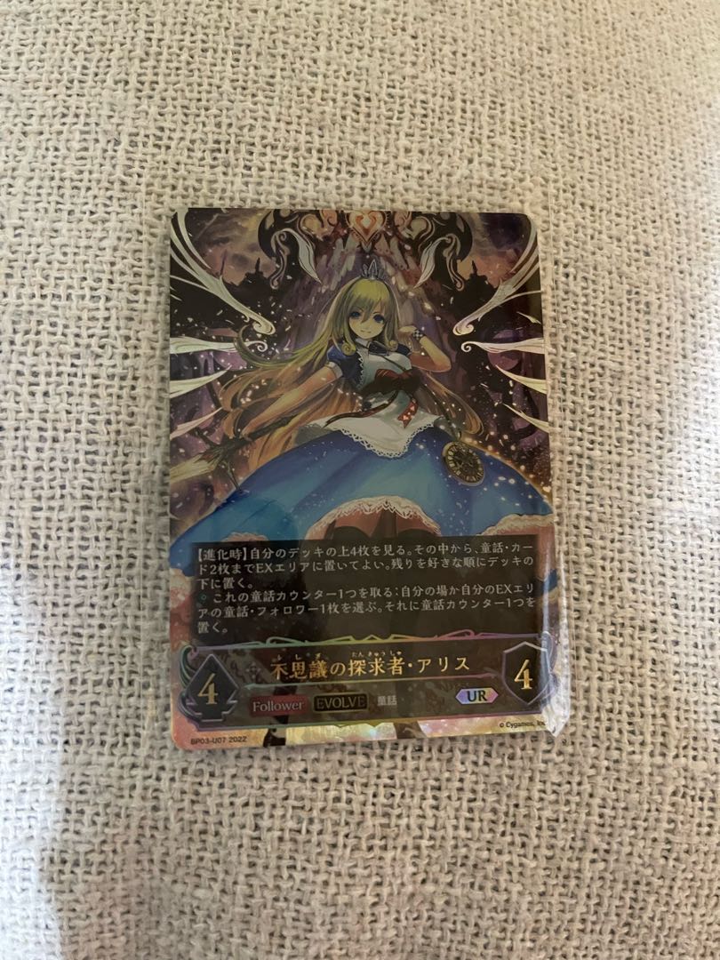 Seeker a Squirrel of Wonders