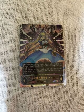 Seeker a Squirrel of Wonders