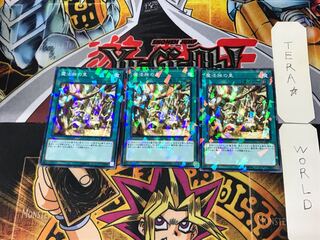 魔法族の里 4 ノーマルパラレル 3枚セット てら