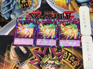 Phoenix Wing Wind Blast 1 Normal Parallel Set of 3 Tera