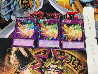 Phoenix Wing Wind Blast 4 Normal Parallel Set of 3 Tera