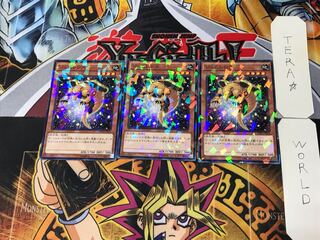 Gem-Armadillo 3 Normal Parallel Set of 3 Tera 1枚