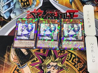 Laundry Dragonmaid 1 Normal Parallel 3-card set Tera