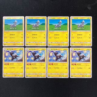 PC Blitzle Zebstrika 8-piece evolutionary set㉒.