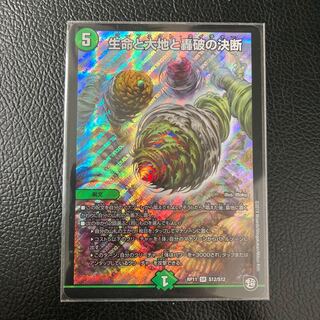 Life Life, Earth and Roaring Decision SR S12/S12