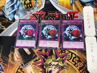 Skull Dice 2 Millennium Set of 3 Tera