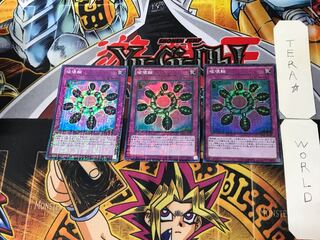 Ring of Destruction 3 Millennium Super 3-card set Tera