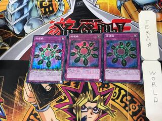 Ring of Destruction 4 Millennium Super 3-card set Tera