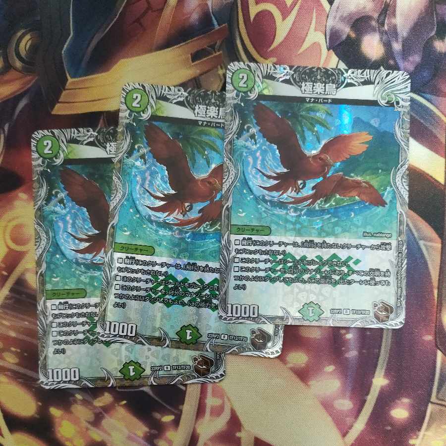 Birds of Paradise (Copper Treasure) R-foil TF12/TF20