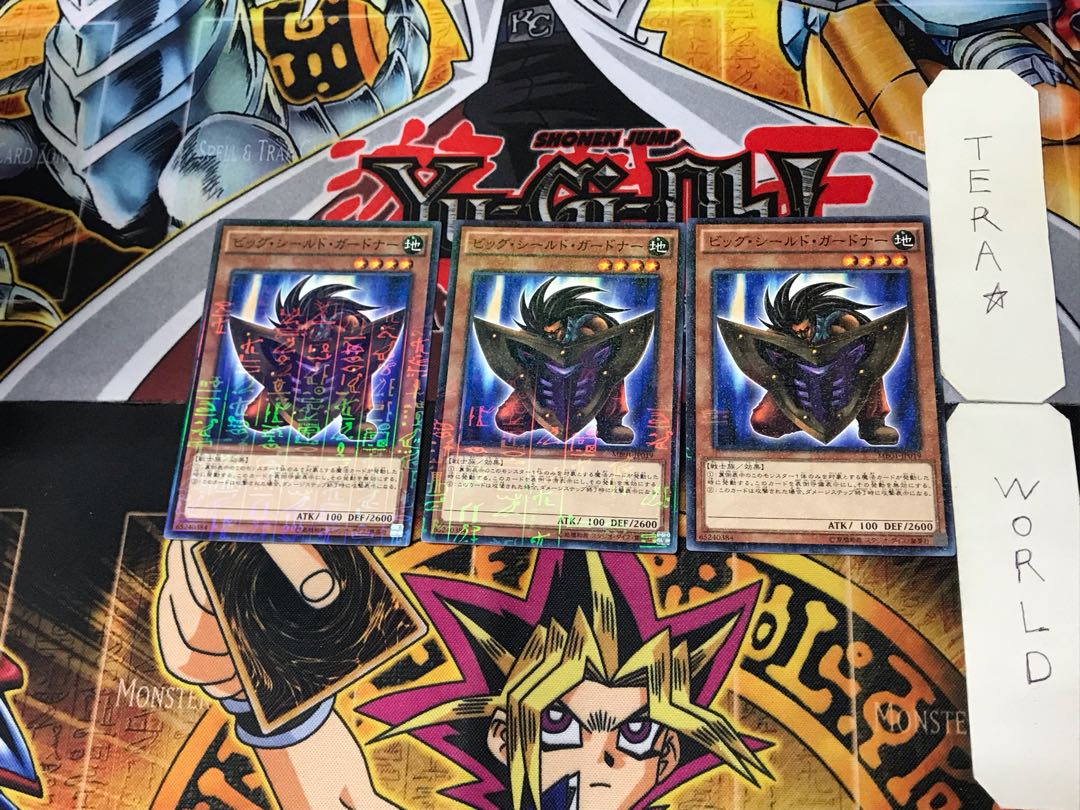 Big Shield Gardna 2 Millennium Set of 3 Tera