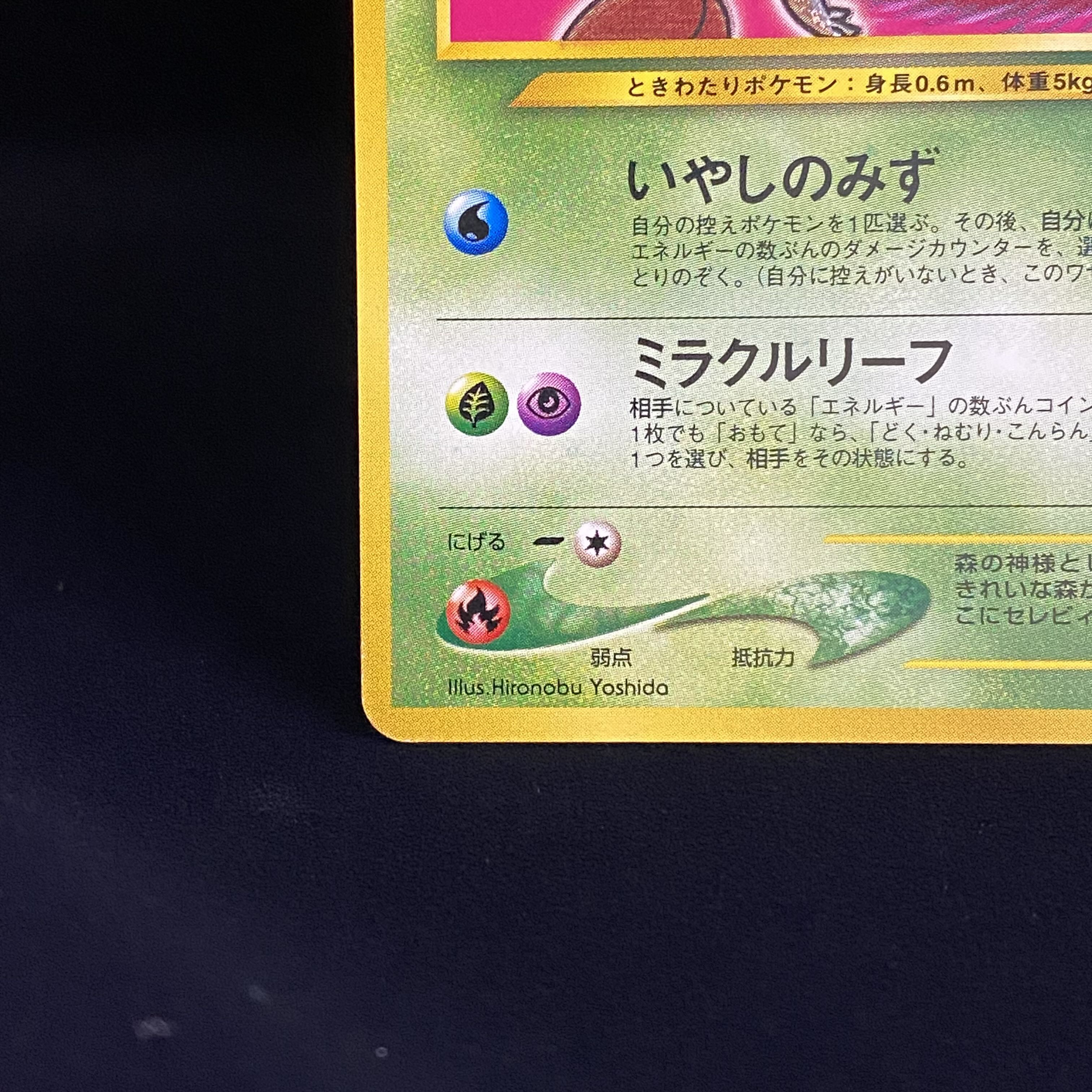 Hikaru Celebi Old Back No251 Yami, and to the Light