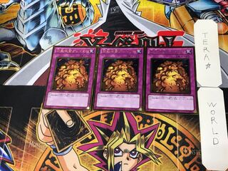 Widespread Ruin 4 Gold Set of 3 Tera