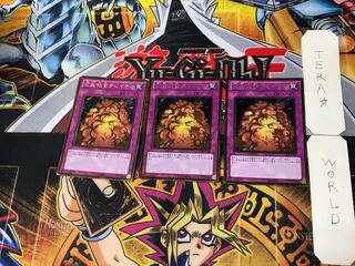 Widespread Ruin 5 Gold Set of 3 Tera