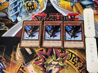 D.Dクロウ 2 ゴールド 3枚セット てら