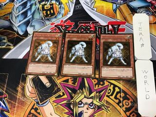 Ryko, Lightsworn Hunter 2 gold, set of 3 tera