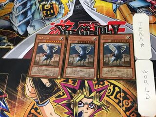 Judgment Dragon 5 Gold, set of 3 Tera.