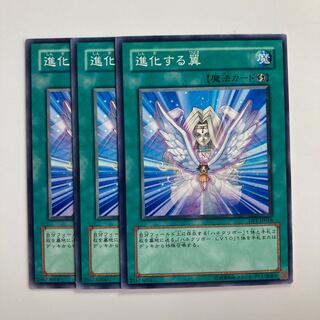 8385 Transcendent Wings $2941