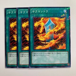 8393 Salamandra Millennium JPM40