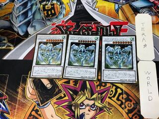 Stardust Dragon 2 gold, set of 3 tera