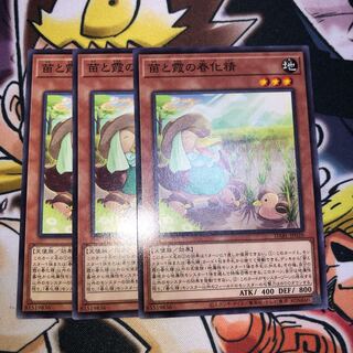 苗と霞の春化精 ノーマル JP026