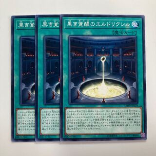 8413 Eldlixir of Black Awakening Normal JP029