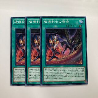 8416 Karma of the Destruction Swordsman $2979