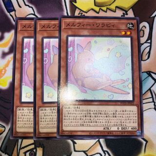 Melfi Wallaby Normal JP022