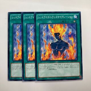 レッドアイズ・トランスマイグレーション $2981