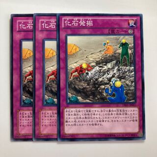 8427 Fossil Excavation $3001